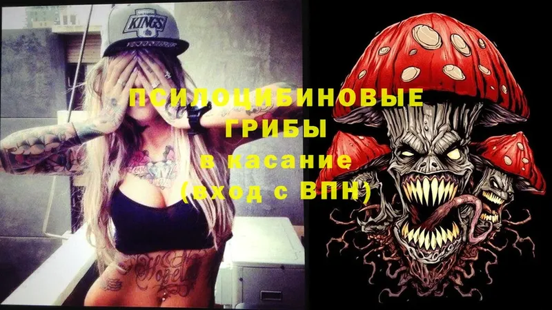 MEGA   Котлас  Галлюциногенные грибы Cubensis  где продают  